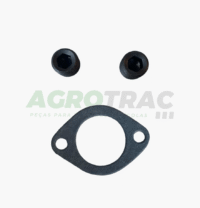 BOMBA D'AGUA MOTOR IVECO TL - Imagem 4