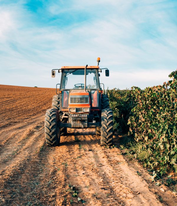 Tractor in a vineyard